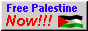 free palestine badge