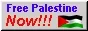 free palestine badge